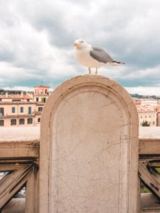 Ausblick vom Viktor-Emanuel-Denkmal Rom